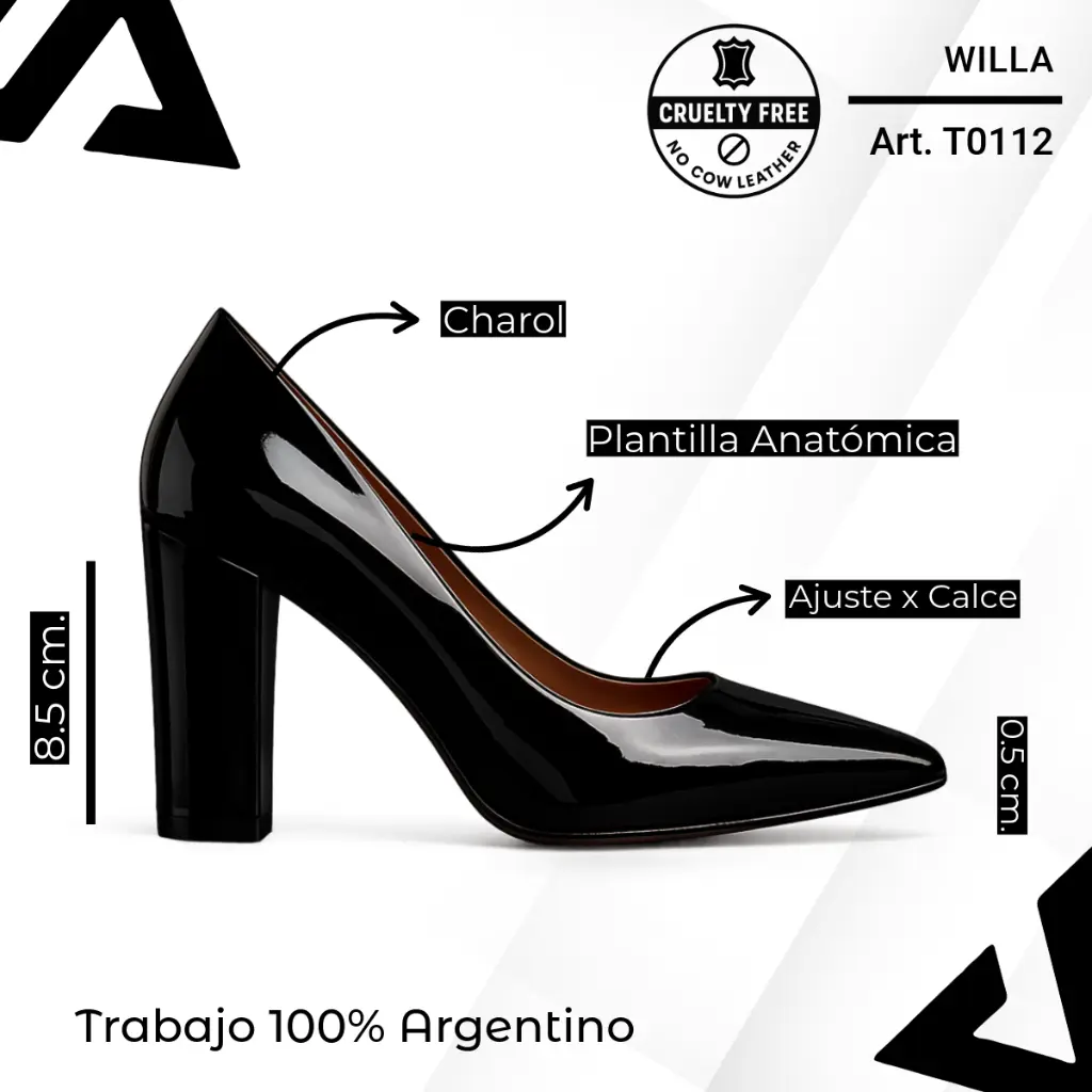 info versa - 2025-11-06T190215.262.webp