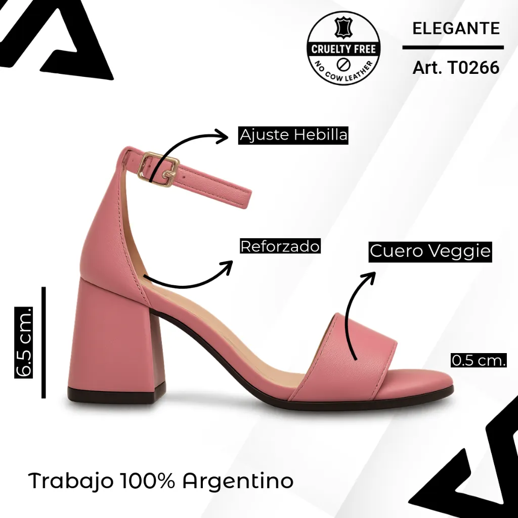 info versa - 2025-11-24T165521.698.webp