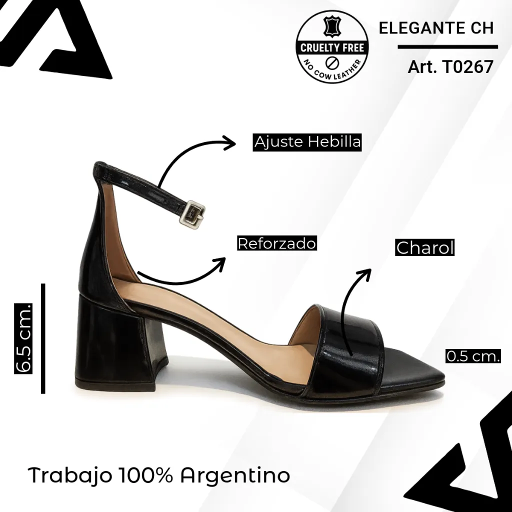 info versa - 2025-11-24T175245.258.webp