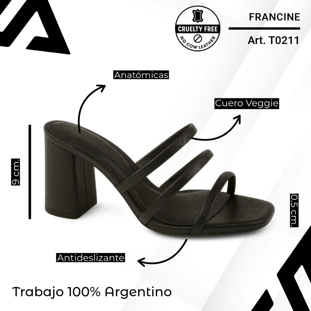 info versa - 2025-11-28T091528.264.webp