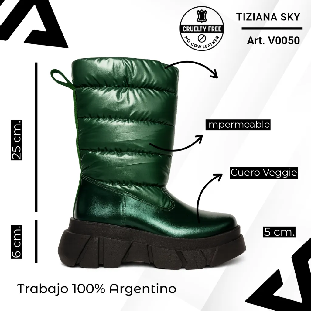 info versa - 2025-12-04T192111.049.webp