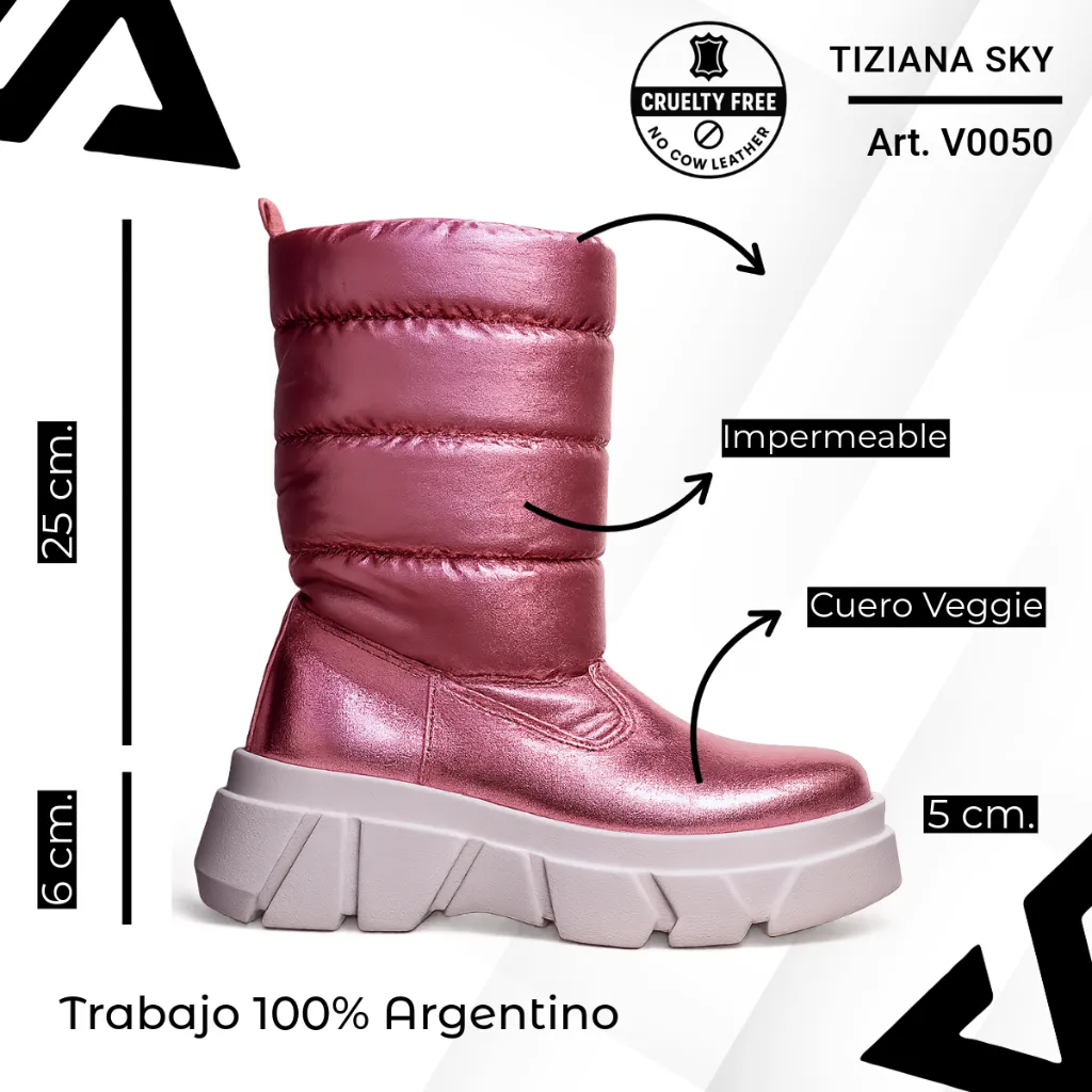 info versa - 2025-12-04T192216.287.webp