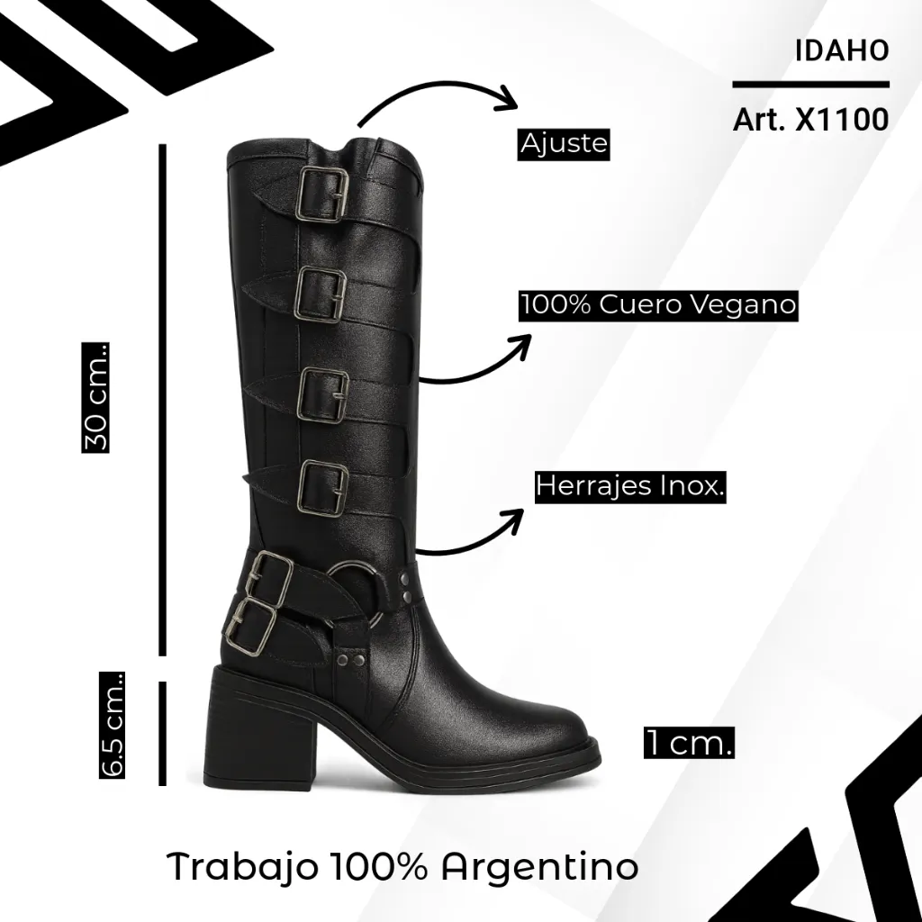 info versa (29).webp