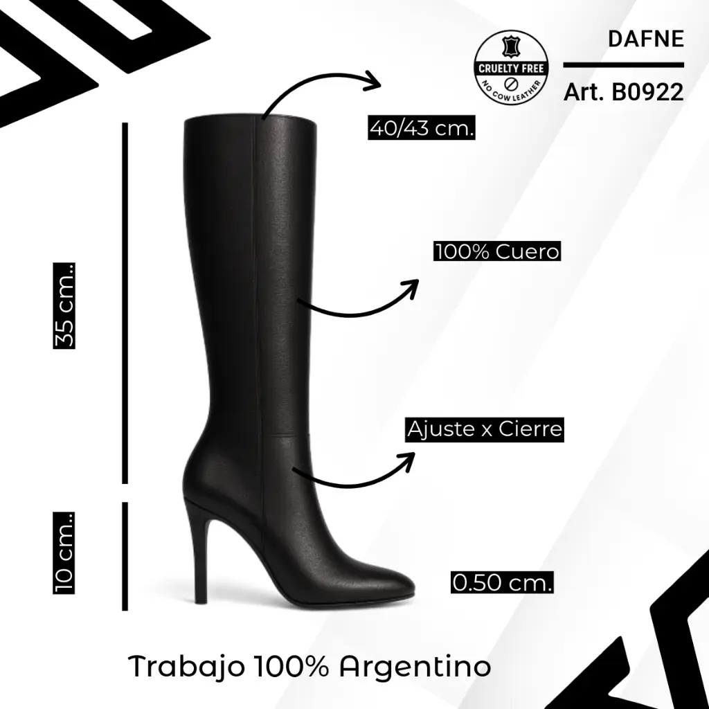 info versa (91).webp