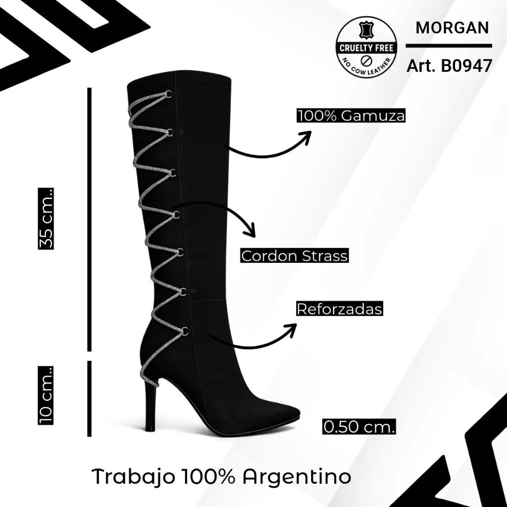 info versa - 2026-01-22T163922.053.webp