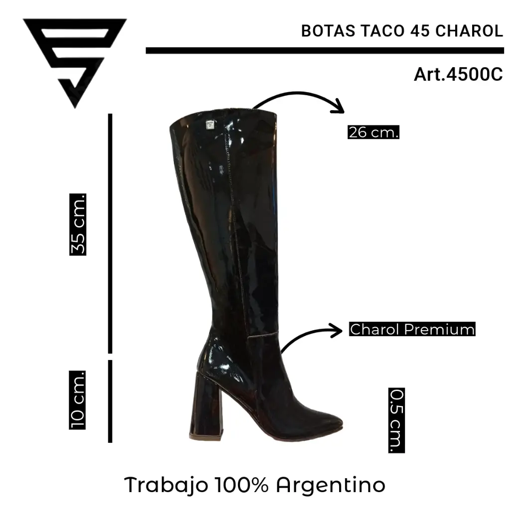 info versa (6).webp