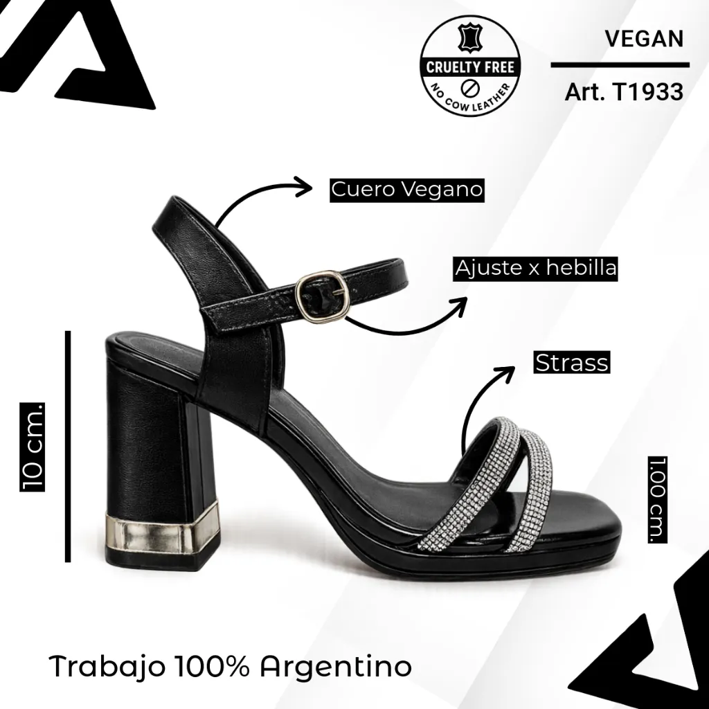 info versa - 2026-02-11T081920.040.webp