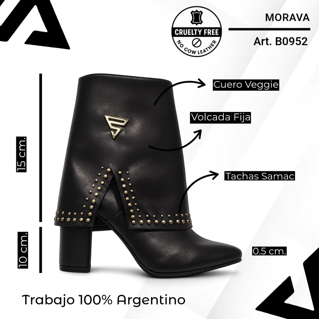 info versa - 2026-02-14T180008.052.webp