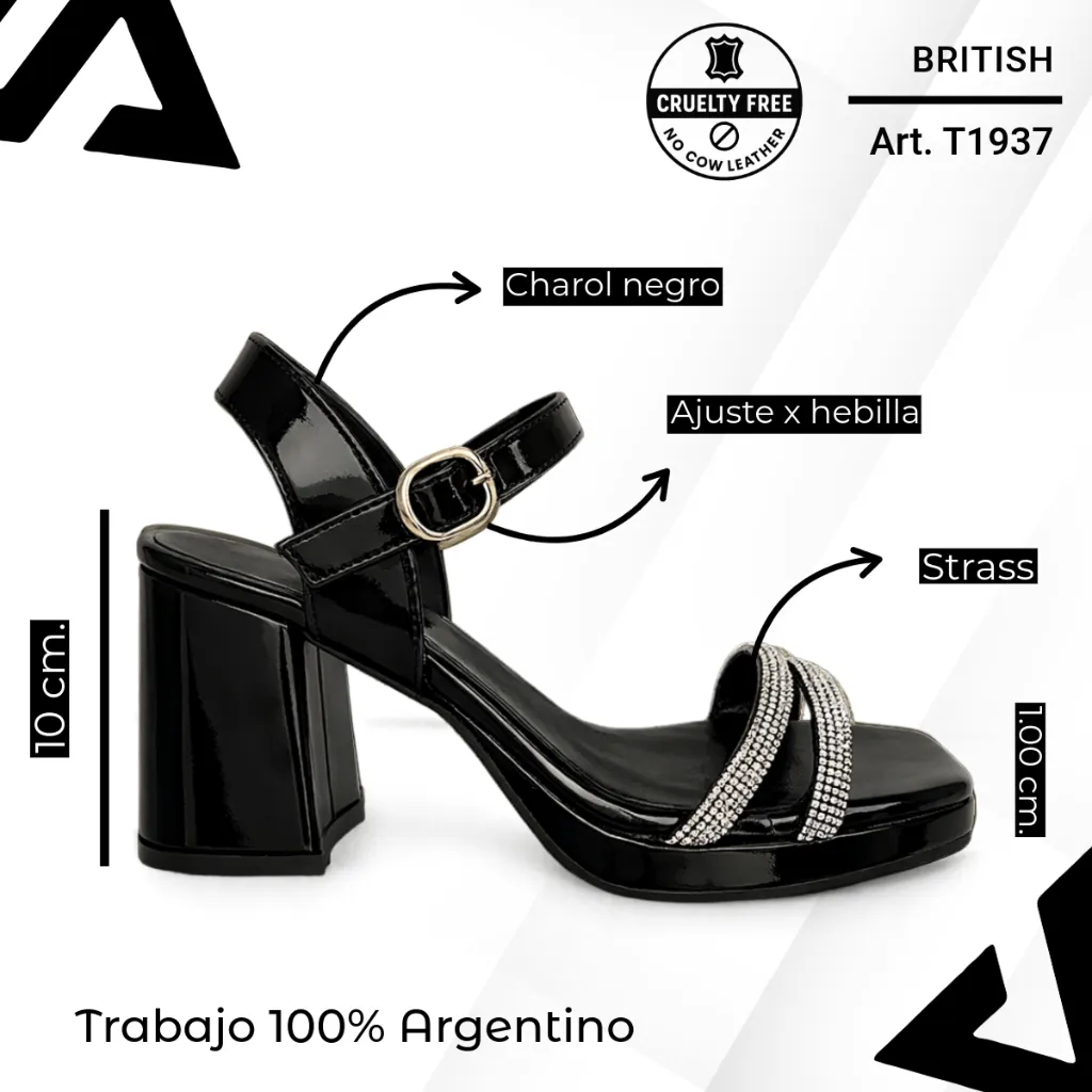 info versa - 2026-02-19T190853.573.webp