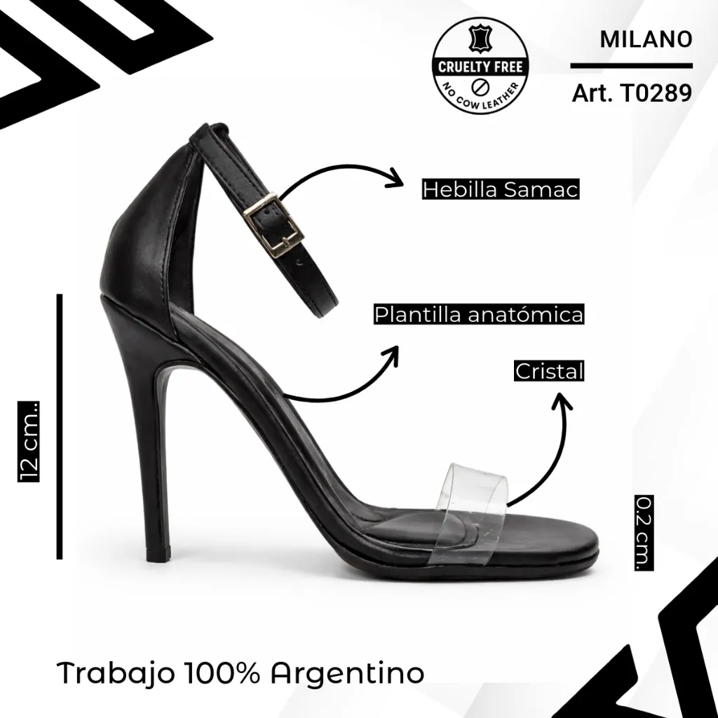 info versa - 2026-03-19T193609.336.webp