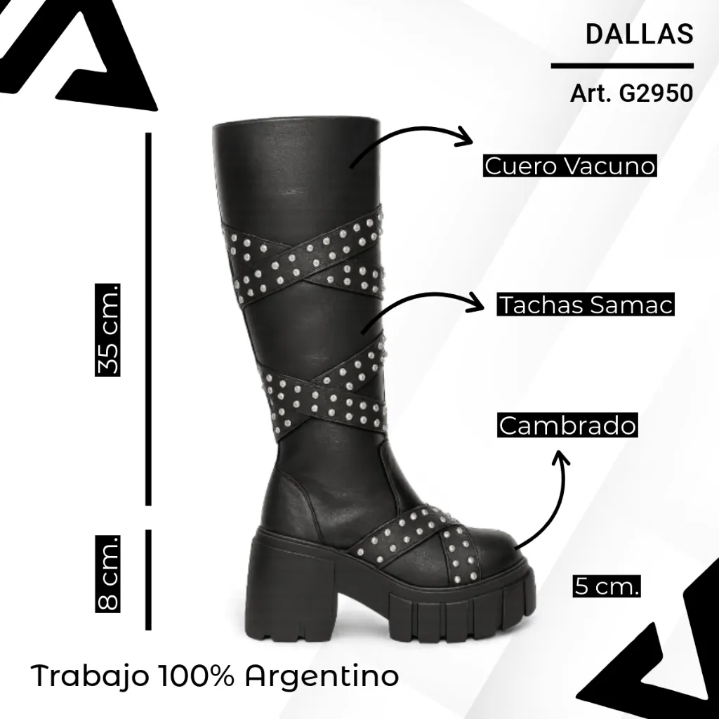 info versa - 2025-10-29T200124.876.webp