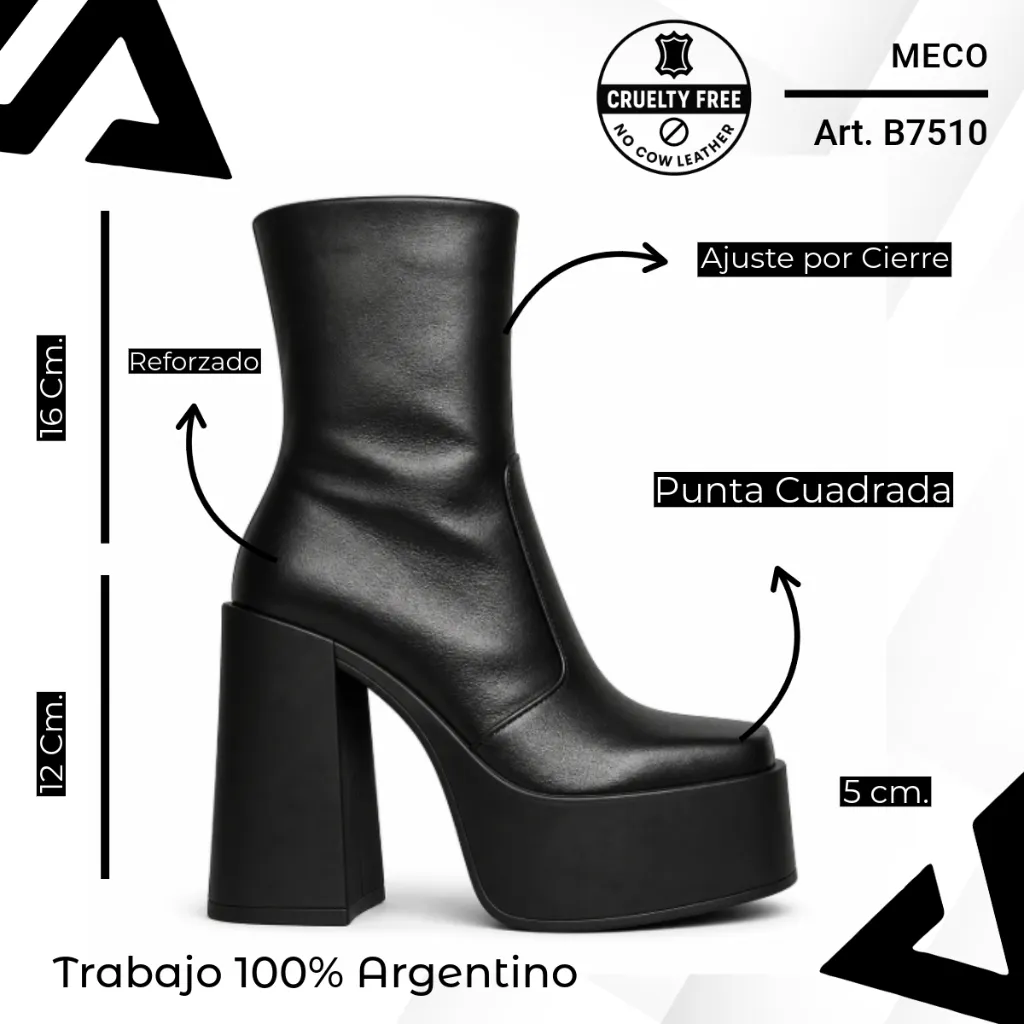 info versa (5).webp