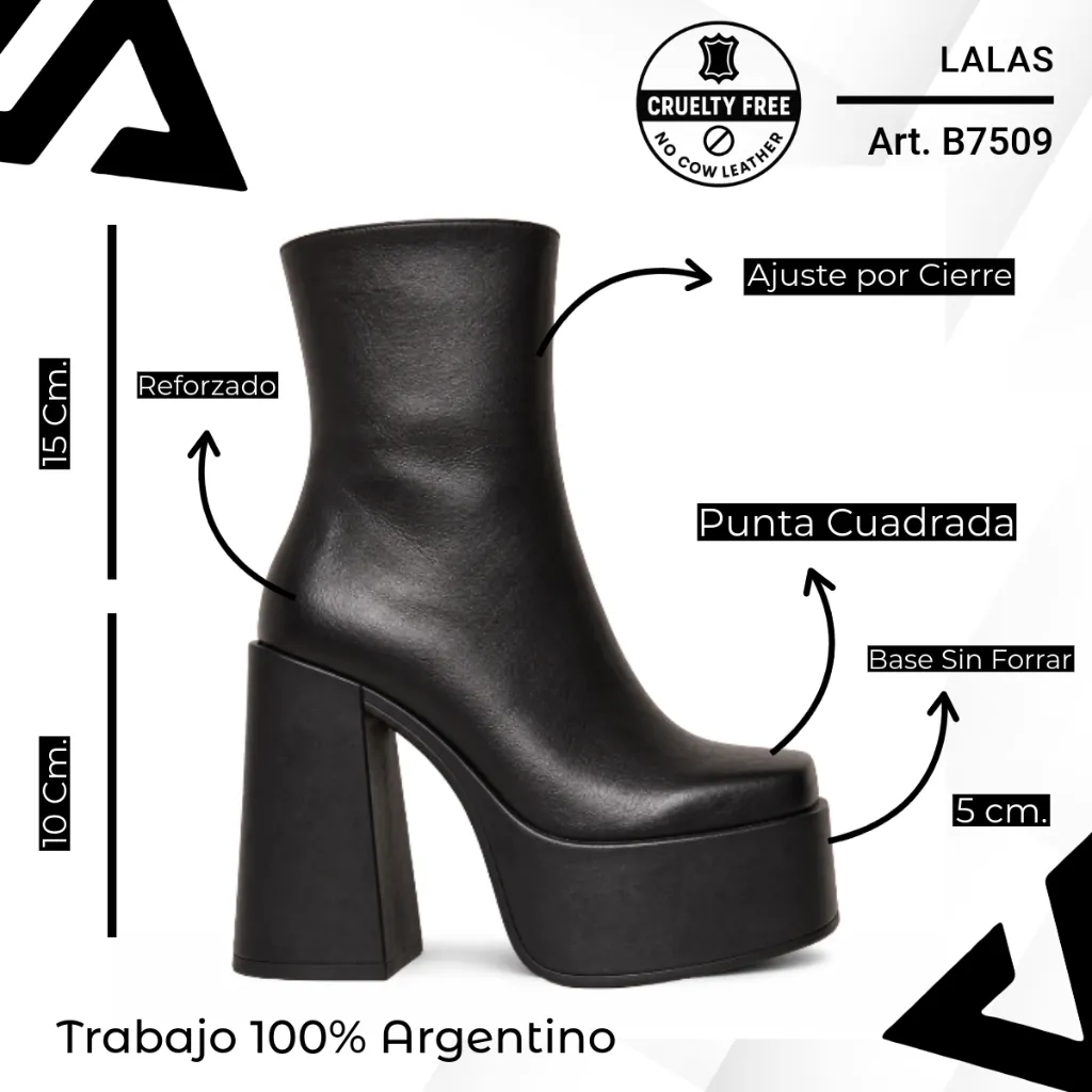info versa (8).webp