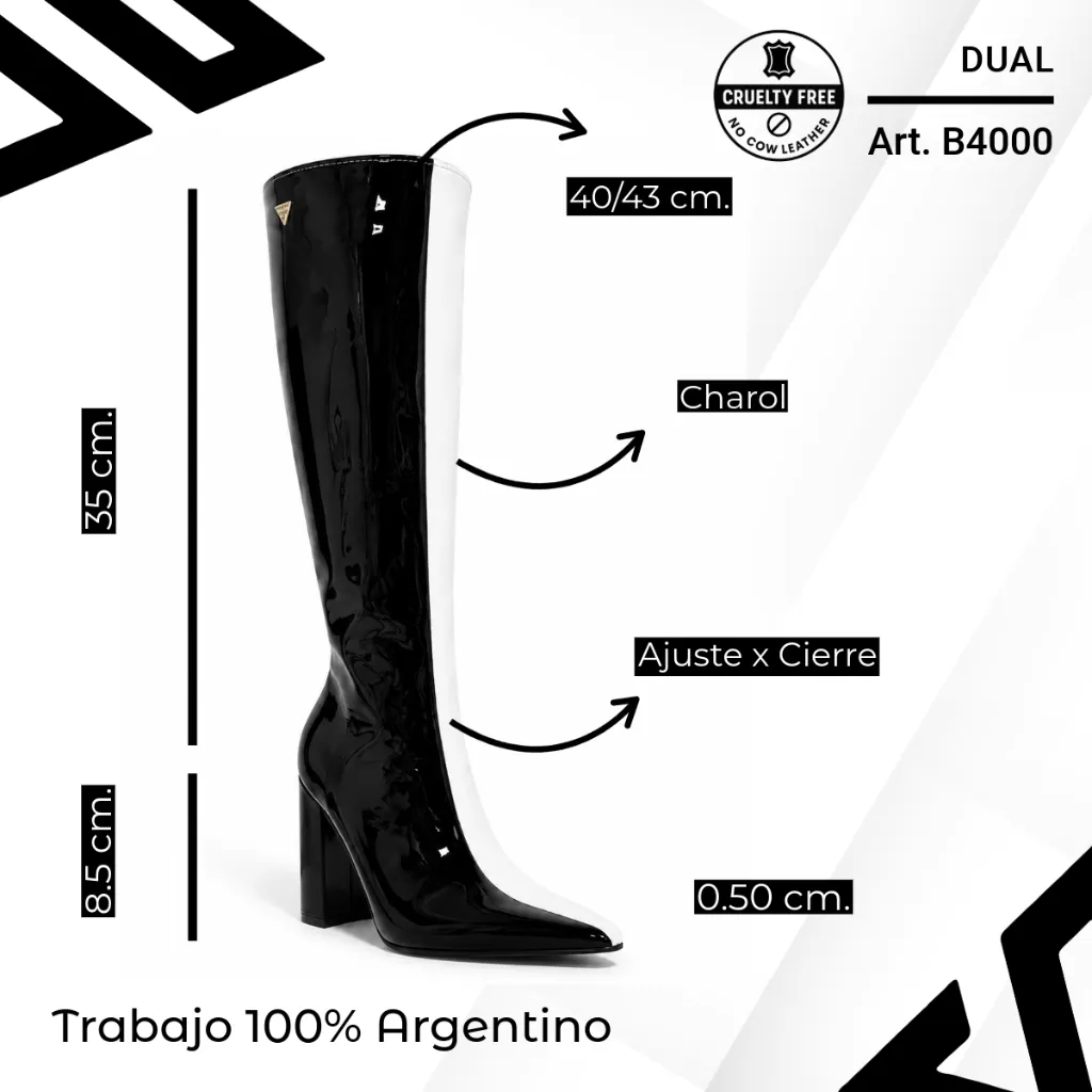 info versa - copia (1) (1) (7).webp
