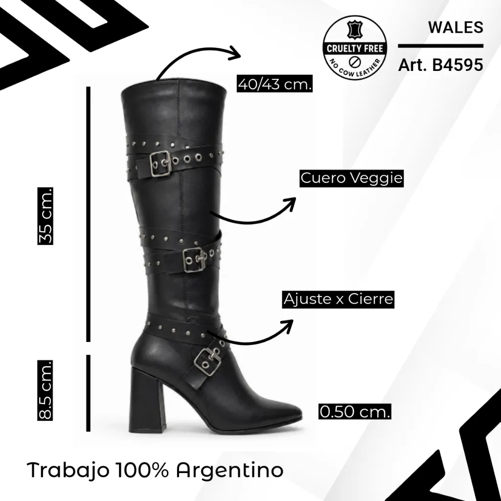 info versa - copia (1) (2).webp
