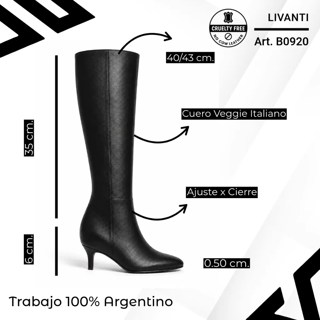 info versa - copia (1) (1) (1).webp