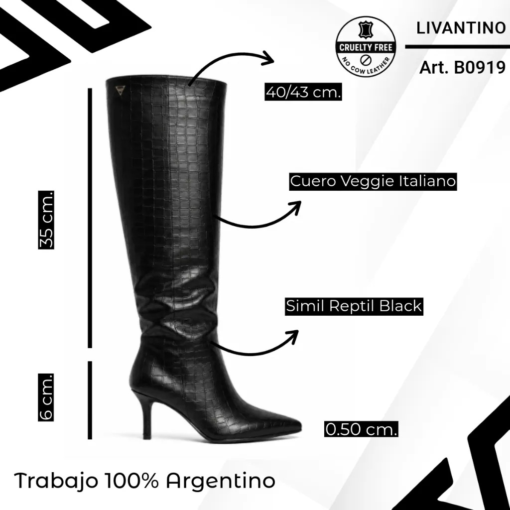 info versa - copia (1) (1) (2).webp